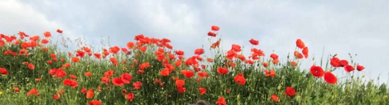 Le Jardin Otel Aspiran Dış mekan fotoğraf