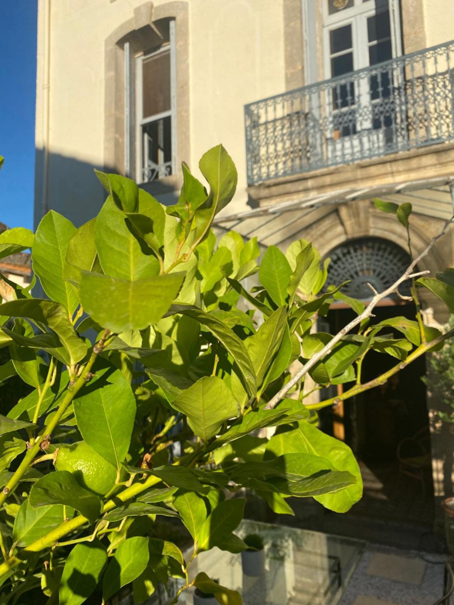 Le Jardin Otel Aspiran Dış mekan fotoğraf