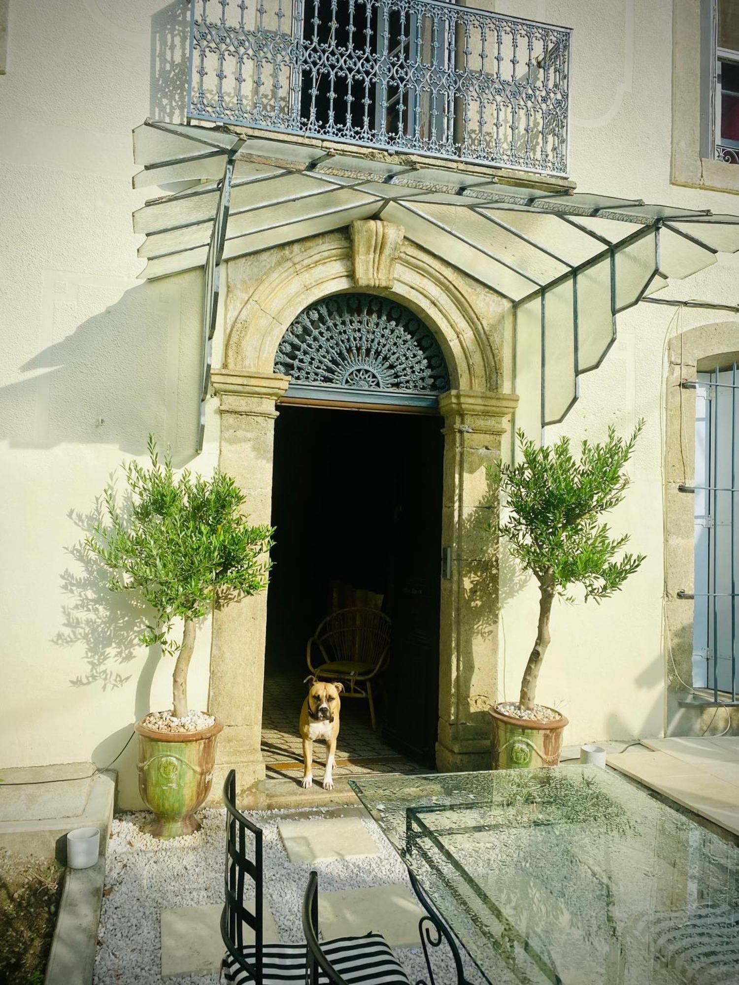 Le Jardin Otel Aspiran Dış mekan fotoğraf